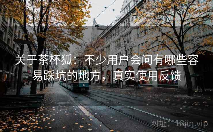 关于茶杯狐:不少用户会问有哪些容易踩坑的地方,真实使用反馈 关于茶杯狐:不少用户会问有哪些容易踩坑的地方,真实使用反馈