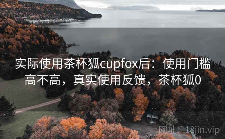 实际使用茶杯狐cupfox后：使用门槛高不高，真实使用反馈，茶杯狐0