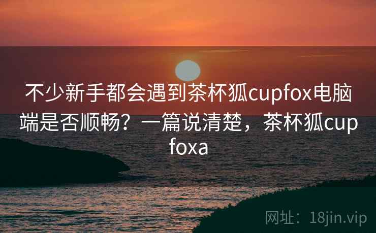 不少新手都会遇到茶杯狐cupfox电脑端是否顺畅？一篇说清楚，茶杯狐cupfoxa