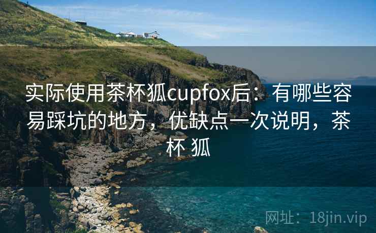 实际使用茶杯狐cupfox后：有哪些容易踩坑的地方，优缺点一次说明，茶杯 狐