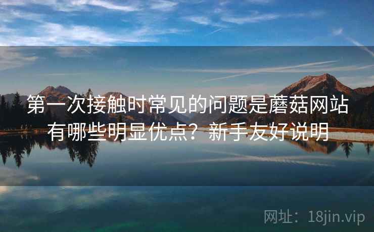 第一次接触时常见的问题是蘑菇网站有哪些明显优点？新手友好说明