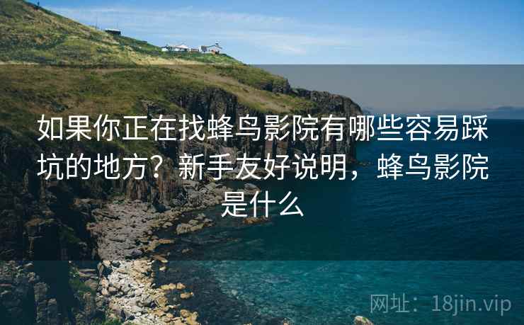 如果你正在找蜂鸟影院有哪些容易踩坑的地方？新手友好说明，蜂鸟影院是什么